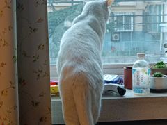 -天地無用GAME BAR