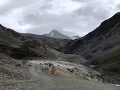 -祁连山·岗什卡雪峰景区