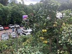 -漫山居私汤民宿全竹宴