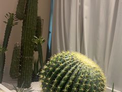 -悦海·家宴·冰花皮皮虾大锅贴(宝龙店)