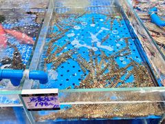 -大连湾旭日·家宴·海肠捞饭(马栏广场店)