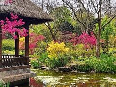-上海滨江森林公园