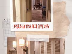 -德州凤冠假日酒店