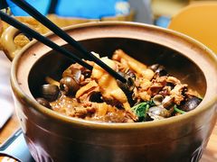 -食爺炭炉鸡煲·烧烤