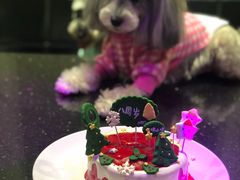 -皇马纯KTV(景田店)