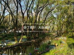 -上海共青森林公园