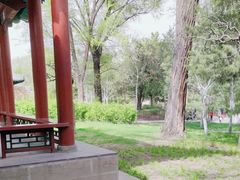 -晋祠公园