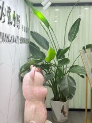 -张小野·专业半永久纹眉