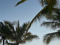 -深圳湾公园(南山区)