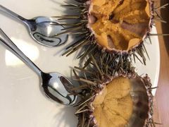 -海胆小馆(东北水饺·春柳店)