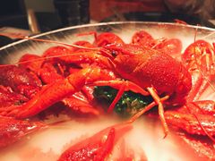 -红盔甲·小龙虾(天钥桥店)