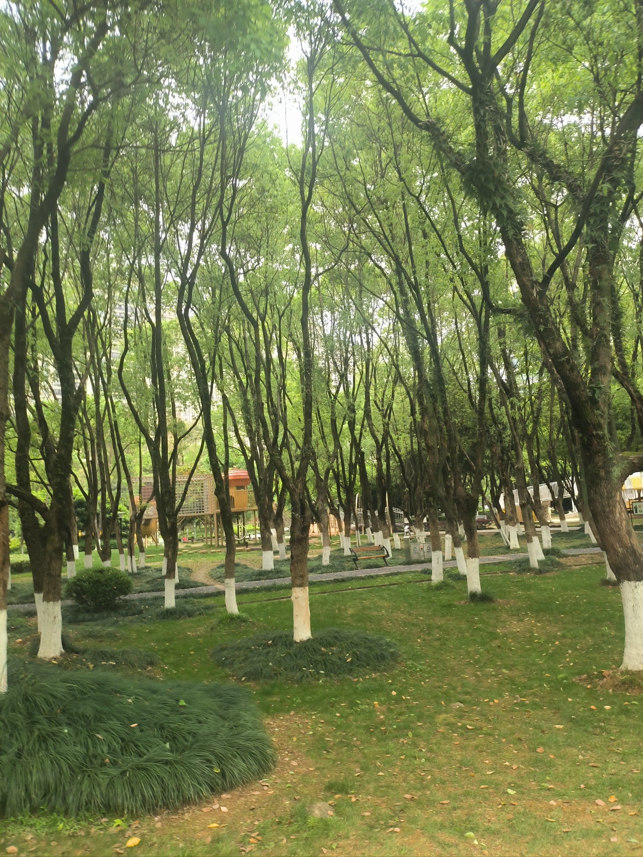 天天领红包 #0元玩转这座城 #免费公园亲子游 半塘公园对一部分地方