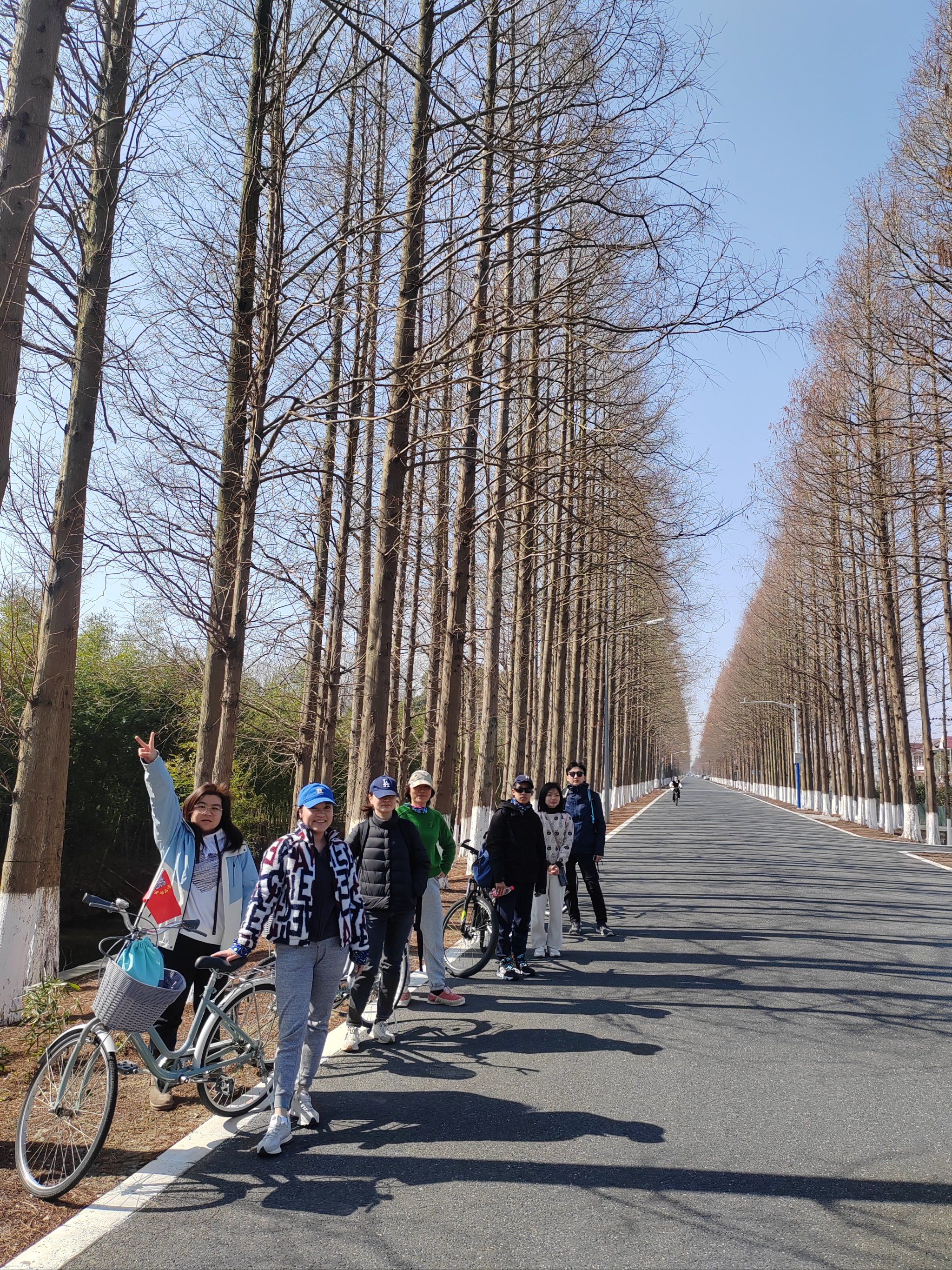 春节不出上海在自己的后花园横沙岛骑行