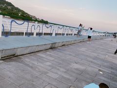 -横琴客运码头