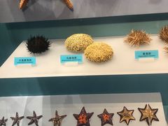 -天津自然博物馆