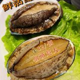 个头超大的鲍鱼才12一只