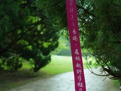 -上海共青森林公园