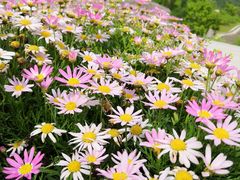 -村上一屋(望京店)