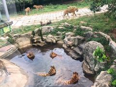 -深圳野生动物园