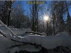 -雪谷