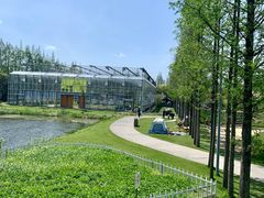 -前小桔亲子创意农场·草莓采摘·露营烧烤