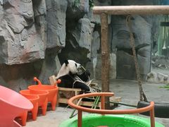 -栾川竹海野生动物园