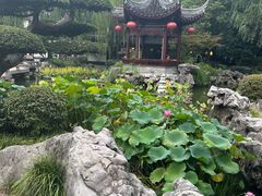 -檀园