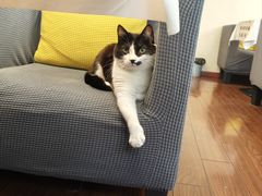 -路易时光(蕴川路店)