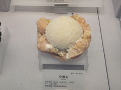 -湖南省地质博物馆
