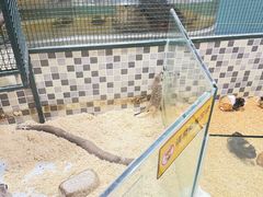 -上海大自然野生昆虫馆(东方明珠·爬宠昆虫探索中心)