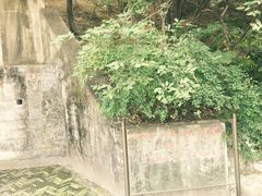 -双清别墅