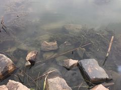 -漕湖湿地公园