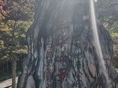 -秦岭终南山世界地质公园翠华山景区