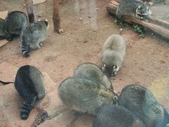 -昆明动物园