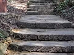 -缙云山景区