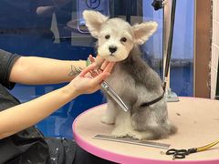 -FAELING PETS美天灵宠物(富力广场店)