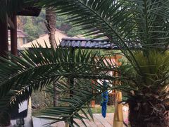 -咸宁万豪温泉谷度假区