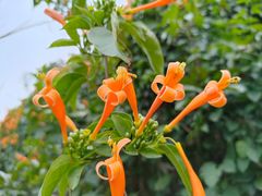 -南宁花花大世界景区