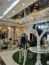 -同远QQBABY亲子摄影(北京路店)