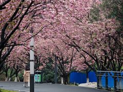 -苏州河梦清园环保主题公园