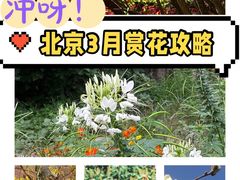 -天坛公园