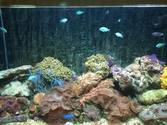 iphone_upload_pic-北戴河圣蓝海洋公园