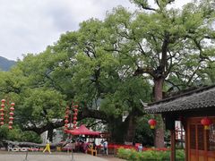 -新安江山水画廊风景区
