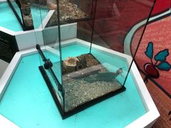 -中国杭州低碳科技馆