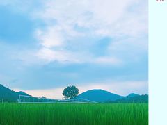 -艾米稻香小镇