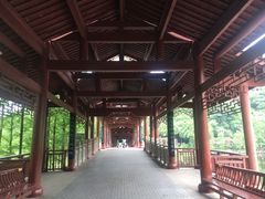 -重庆彩云湖湿地公园
