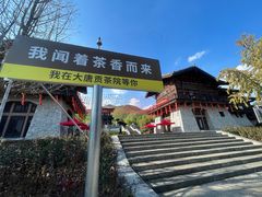 -大唐贡茶院