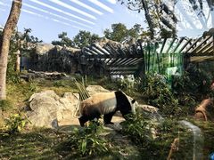 -武汉动物园