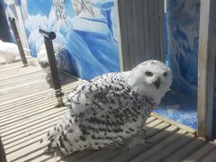 -成都浩海立方海洋公园