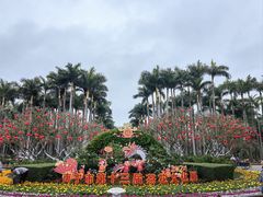 -金花茶公园